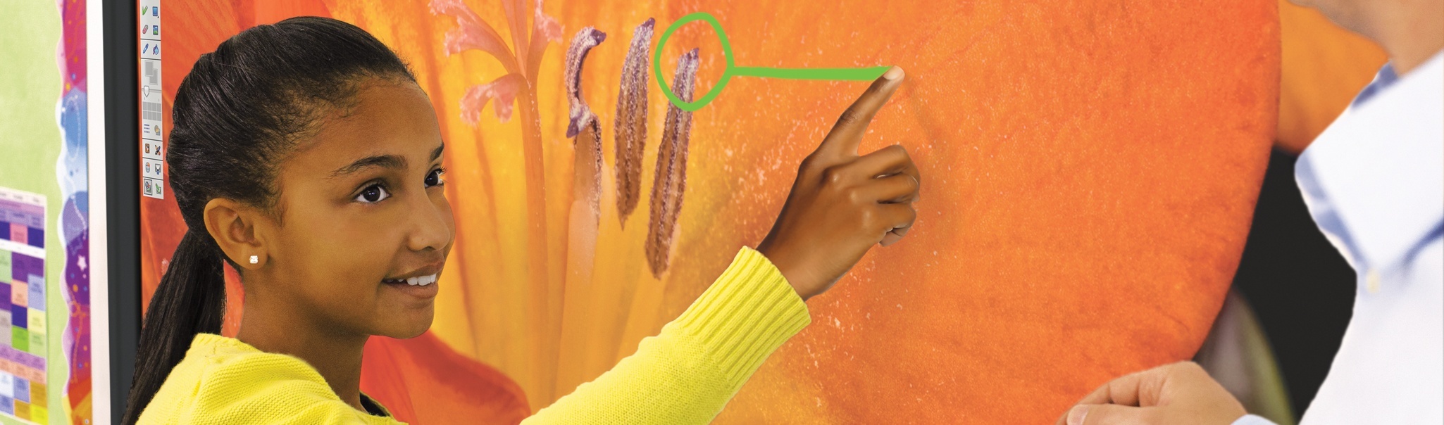 PanelPlanoProColor