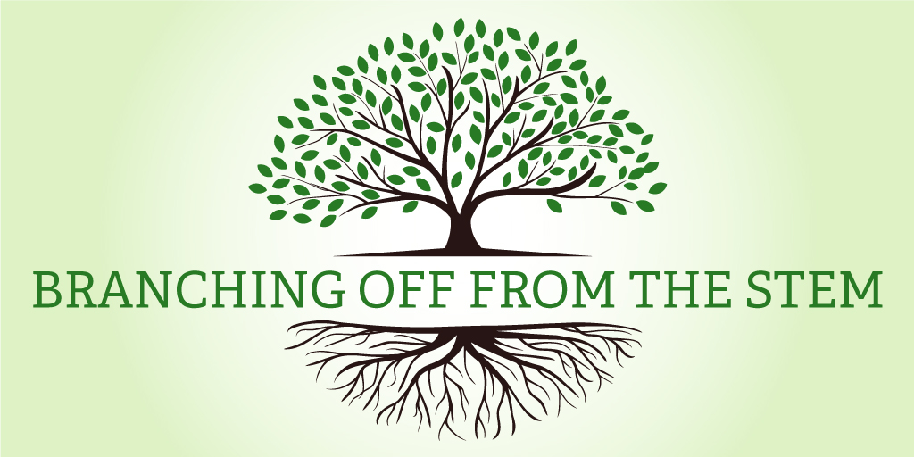 Branchingofffrom-STEM