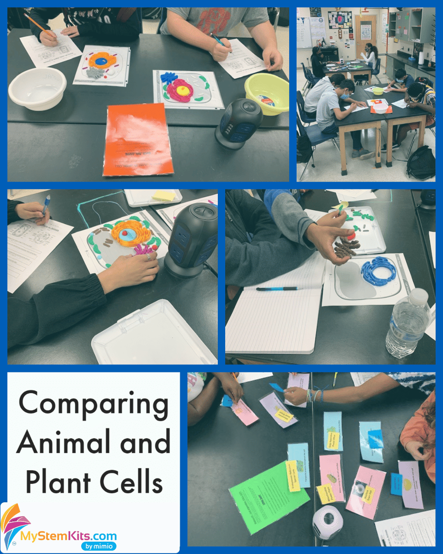 Comparing Animal and Plant Cells
