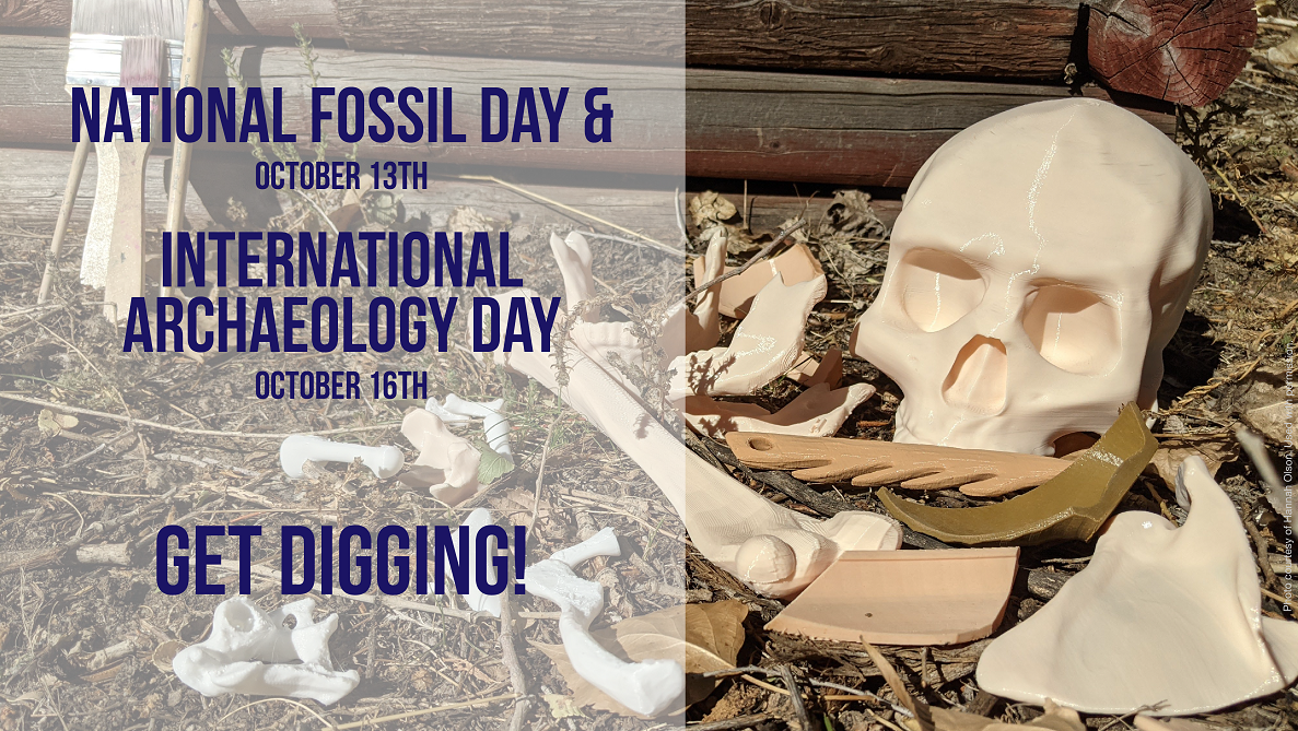 Fossil Day blog banner
