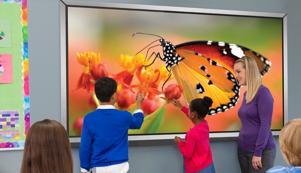 ProColorSeries1_2ndEd_Butterfly