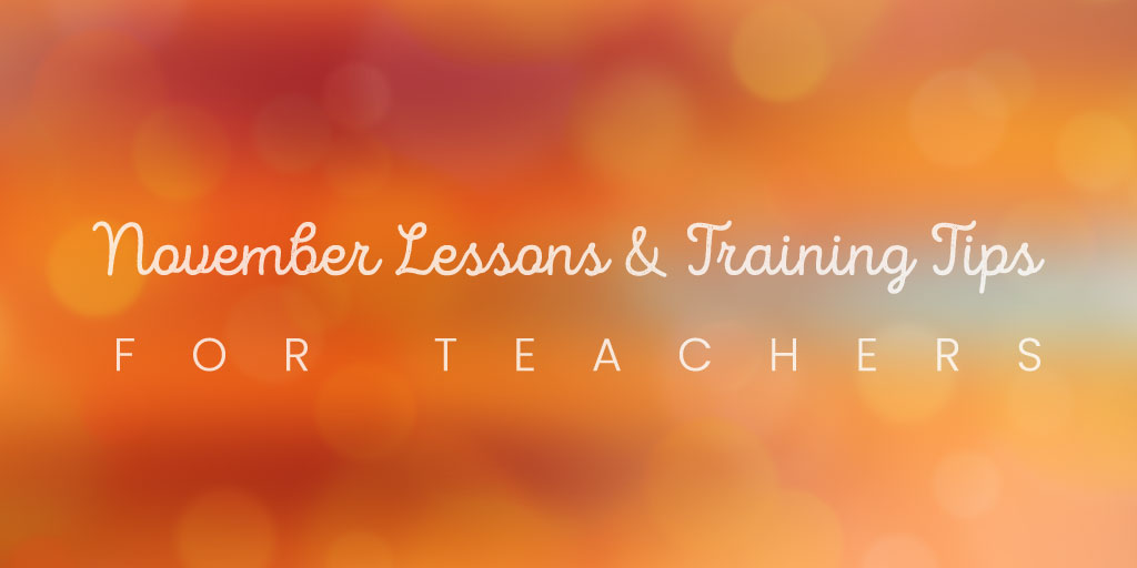 NOVBLOGLESSONS-AND-TRAININGTIPS