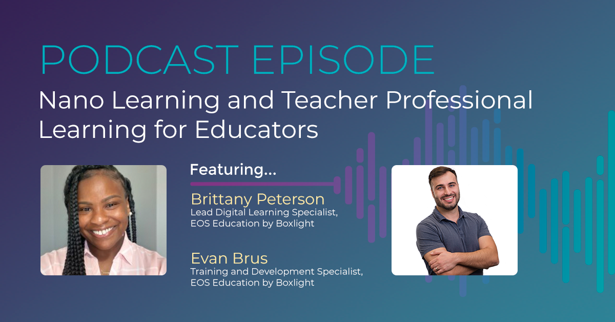 Nano Learning and Professional Learning-