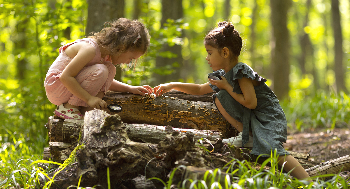 STEM early learners blog