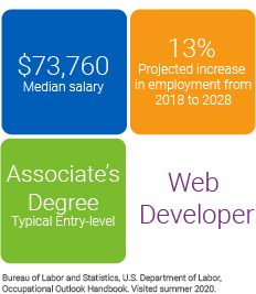 WebDelevoper snapshot