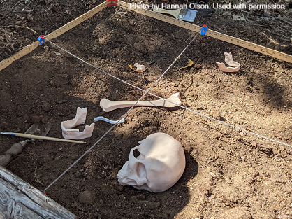 dig squares_cropped