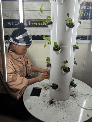 hydroponics3