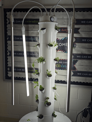 hydroponics4