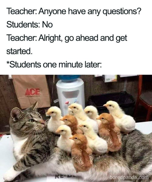 teacher-meme-2-5b8513a466014__700